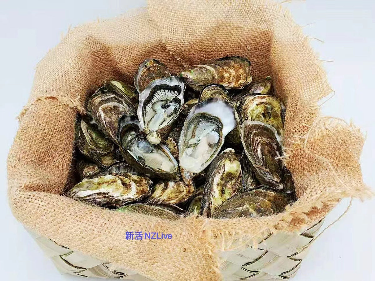 Garlic steamed Oyster 蒜蓉蒸生蚝