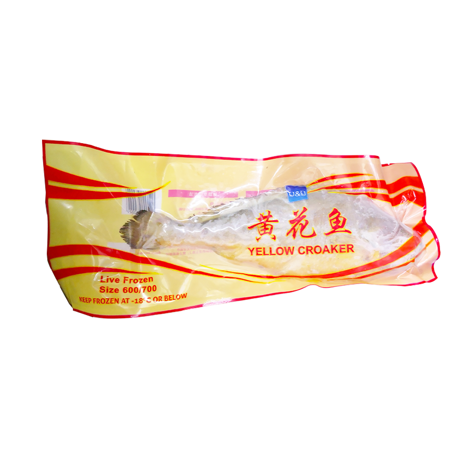 YY Yellow Croaker