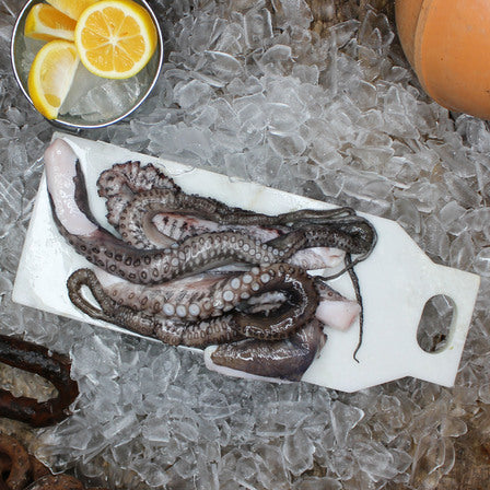 Octopus