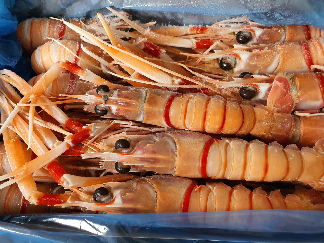 Scampi Grade #2 - 2kg