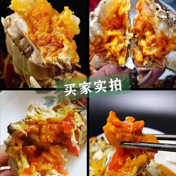 Mitten Crab