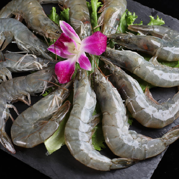 YY Frozen Whole Raw Van Prawn 30/40