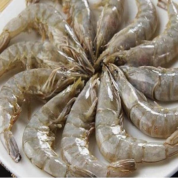 Nishin Raw Vannamei 8/12 Prawn 700g