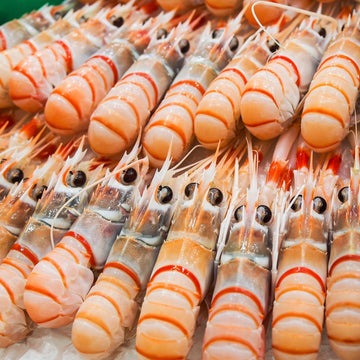 Scampi Grade #2 - 2kg